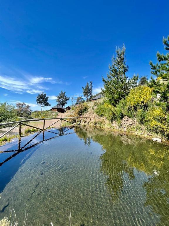 Mountain Eco Shelter 2 Hotell Funchal  Eksteriør bilde